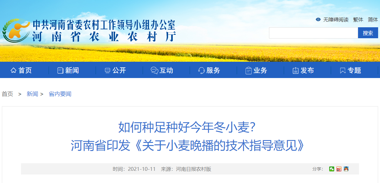 如何種足種好今年冬小麥？ 河南省印發(fā)《關(guān)于小麥晚播的技術(shù)指導(dǎo)意見》