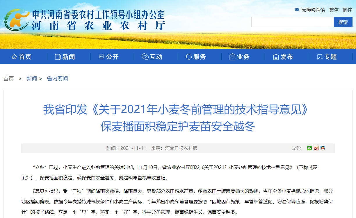 河南省印發(fā)《關(guān)于2021年小麥冬前管理的技術(shù)指導(dǎo)意見》 保麥播面積穩(wěn)定護麥苗