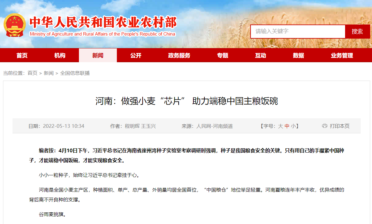 河南：做強小麥“芯片” 助力端穩(wěn)中國主糧飯碗