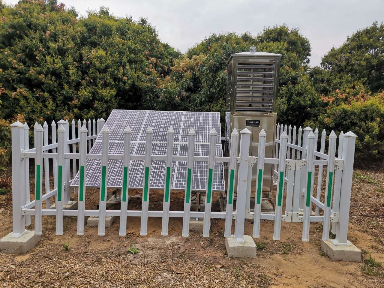  建標(biāo)準(zhǔn)基地，育富民產(chǎn)業(yè)：都成蟲情測(cè)報(bào)燈走進(jìn)廣東荔枝生產(chǎn)基地